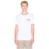 Armani Exchange One Block Up, Ribbed Crewneck with Contrast Color, Embroidered Logo T-Shirt Uomo (Pacco da 1)