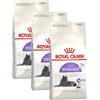 Royal Canin Cat Sterilised +7 Alimento completo per gatti sterilizzati KIT 3X3.5KG