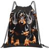 JBJGKHLP Zaino con coulisse con stampa di tre bassotti donne uomini sport allenamento viaggio yoga borsa fitness portatile