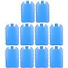 SHINEOFI 10 Pezzi Blocchi in PE Blu per Lunch Box di Ghiaccio Riutilizzabili per Raffreddamento e Borse Frigo di Bevande e Farmaci Durante Le Vacanze Estive