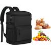 zwxqe Insulated Backpack Cooler, 30 Cans Leakproof Thermal Travel Bag, Waterproof Ice Chest for Picnic, Beach, Work Trip, Lightweight Cooler Backpack for Lunch and Drinks