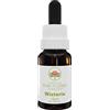 Australian Bush Flower Essences Wisteria 15ml