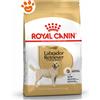 Royal Canin BHN Dog Adult Labrador Retriever - Sacco Da 12 Kg