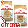 Royal Canin BHN Dog Adult Labrador Retriever - Offerta [PREZZO A CONFEZIONE] Quantità Minima 2, Sacco Da 12 Kg