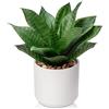 Oairse Pianta di agave artificiale da 24 cm, piante grasse artificiali in vaso in vaso di ceramica, pianta decorativa di aloe finta, piante artificiali per interni, per casa, bagno, cucina, camera da
