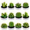 FANTESI DraguimeL 12 Pcs Candele di Cactus, Fatto a Mano Delicato Tealight Candele di Cactus Mini Candele Succulente Piante per Decorazione Casa Festa Natale Matrimonio Regali (green)
