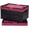 ZLLkeji Scatole Organizzative con Coperchio 2 Pezzi, Impilabile e Pieghevole, Contenitori Plastica con Maniglia per Armadio, Casa, Ufficio, Scatola di Archiviazione (Nero Rosa)