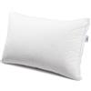 Caleffi Guanciale In Cotone Sonno Piuma CM. 50x80 I Dormissimi Tinta Unita Caleffi