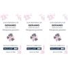 Olio Essenziale Vaillant Geranio 3x10 ml essenziale