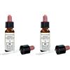Erba Vita Sweet Chestnut Original 10 ml Gocce orali