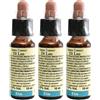Fiori Di Bach 11 Elm Leo 3x10 ml Soluzione orale