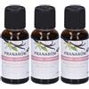 Pranarom La Diffusione Sinergia Piccoli Piaceri 3x30 ml