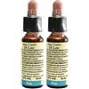 Fiori Di Bach 11 Elm Leo 2x10 ml Soluzione orale