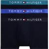 Tommy Hilfiger Uomo Pantaloncini Boxer Confezione da 3 con Fascia con Logo, Multicolore (D Sky/Fmy Ocn/Nob Blu), S