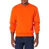 Russell Athletic Felpa in pile Dri-Power, da uomo, traspirante, in misto cotone, vestibilità comoda, taglie S-4X, Arancione bruciato., Small