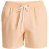 Quiksilver Everyday Deluxe Volley 15 Pantaloncini da tavola Uomo (Pacco da 1)