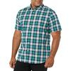 Amazon Essentials Camicia in Popeline a Maniche Corte Slim Uomo, Foglia di tè Bianco Motivo Scozzese, XXL