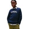 Tommy Hilfiger Bambino Pullover Graphic Cable Sweater Motivo a Trecce, Blu (Dark Night Navy), 7 Anni