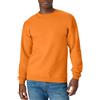 Hanes EcoSmart Fleece, Pullover Crewneck Sweatshirt, 1 Or 2 Pack Maglia di Tuta, Arancione Sicurezza, 3XL Uomo