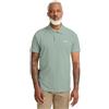 Jack Wolfskin Essential Polo M T-Shirt, Zinnia Verde, 3XL Uomo