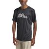 Jack Wolfskin Peak Graphic T M T-Shirt Uomo (Pacco da 1)