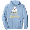 Harry Potter Hedwig Welcome to Hogwarts Felpa con Cappuccio, Unisex per Adulti, Blu Polveroso, XL