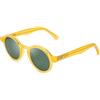 CLANDESTINE Bellagio Occhiali, Miele-Verde Scuro, Taglia Unica Unisex-Adulto