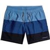 G-STAR Dirik Color Block - Pantaloncini da Bagno da Uomo, Multicolore (Dutch Blue Color Block D26203-c331-h192), S