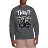 Teenage Mutant Ninja TMNT TMNT Team Crew Sweatshirt Pullover Unisex - Adulto (Pacco da 1)