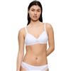 Triumph Amourette P White, Bianco, 2B
