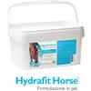 N.B.F. LANES Srl Hydrafit Horse gel reidratante per cavalli sportivi - 40 buste da 50 grammi (2 kg)