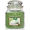 Candela profumata Yankee Candle Vanilla Lime 411 g