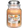 Yankee Candle Candela profumata al gelato di mango 623 g