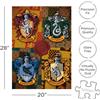Aquarius Puzzle di Harry Potter (1000 pezzi)