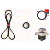 FAI Kit Pompa Acqua E Cinghia Distribuzione Fiat Panda 2003-2025 1.2 TBK187-6260