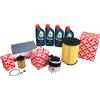 Febi Bilstein Kit Ispezione 1,6 Diesel Ford C-Max Incl. 4 Litro 5W30 Castrol Olio 53333367