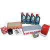 Febi Bilstein Kit Ispezione Ford Fiesta 1,25 16V Incl. 4 L 5W30 Castrol Olio 58882227