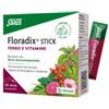 SALUS HAUS GMBH & CO KG Floradix 20 Stick