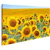 islandburner Quadri Moderni Bellissimo Campo di Girasole in Estate Stampa su Tela - Quadro x poltrone Salotto Cucina mobili Ufficio casa - Fotografica Formato XXL DAK