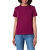 Calvin Klein Women's Archive Jersey Crew Tee EU LV047B224G Tees, Viola (Berry Glaze), L, Viola (Berry Glaze), L