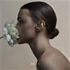 Gold (Ltd. Apple (DVD) Riki