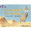 HarperCollins Collins Big Cat Phonics Progress How The Camel Got His Hump Band 02A Red A, Band 08 Purple