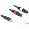 DELOCK Adapterkabel RJ45 St > 2x XLR 3 Pin Bu schwarz 2m