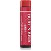 Burt's Bees Tinted Lip Balm 4.25 g