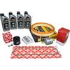 Febi Bilstein Kit Ispezione 1,3 Ford Fiesta Inkl. 4 Litri 5W30 Motorcraft Olio Motore
