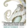 White Star Straordinarie creature marine: polpi, cavallucci marini e meduse. Ediz. a colori