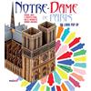 Nuinui Notre-Dame de Paris. Storia, arte e architettura dalle origini al grande incendio. Libro pop-up