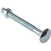 Merriway Bulk Hardware BH04826 Bullone a Testa Tonda e Quadro Sottotesta con Dado, Finitura Zincata, M6, 100 mm, Bianco, Set di 10