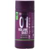 Salerm Cosmetics 01 Volume Dust Matifying Powder 0,01 kg
