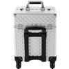 LOIRIIC Valigetta cosmetica grande, professionale, trolley, trolley, multifunzione, con ruote girevoli a 360° e 2 chiavi, 34 x 24 x 41 cm, argento, 34 x 24 x 41 cm, moderno